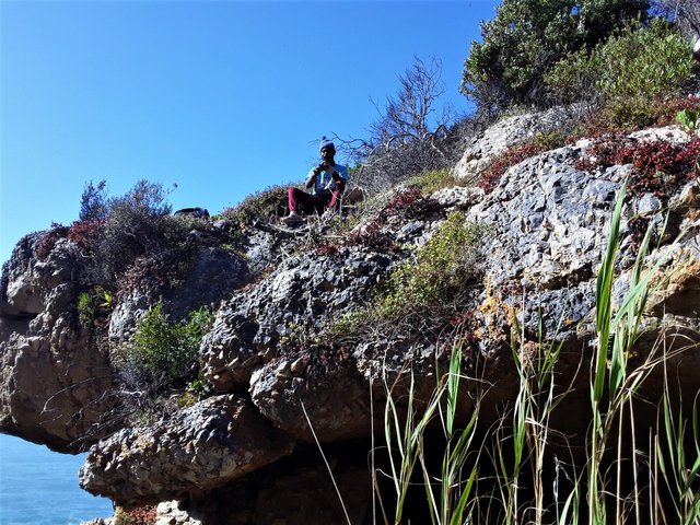 Taking high risks to collect the elixir of life growing freely on the southernmost shoreline of Africa