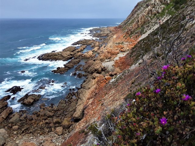 Wild beauty of the almost impossible-to-access shoreline, unless you’re willing to find your own path.