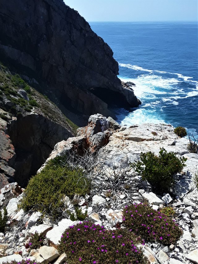 Looking at a giant cavern or arch carved by the sea down at the foot of the cliffs.