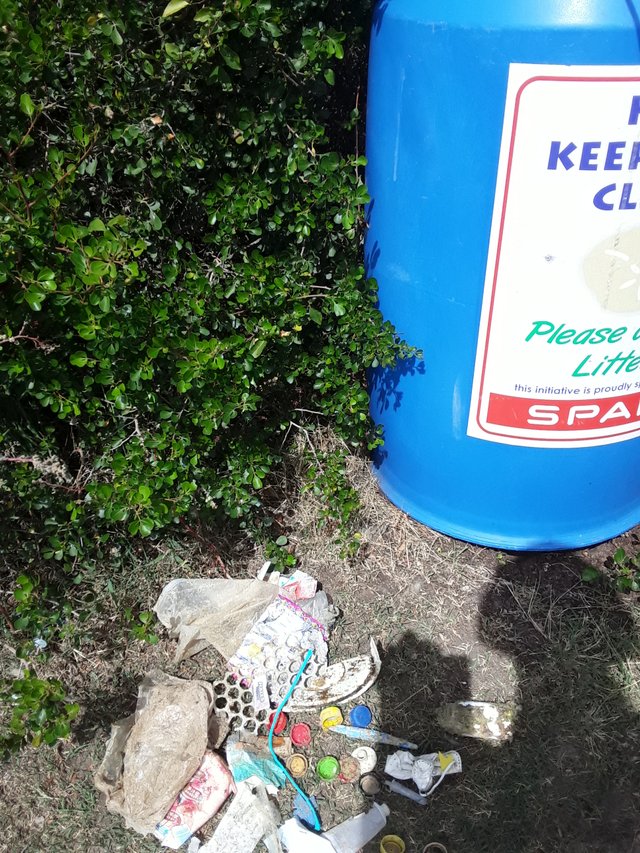 Day 1 plastic litter collection with lots of bottle tops