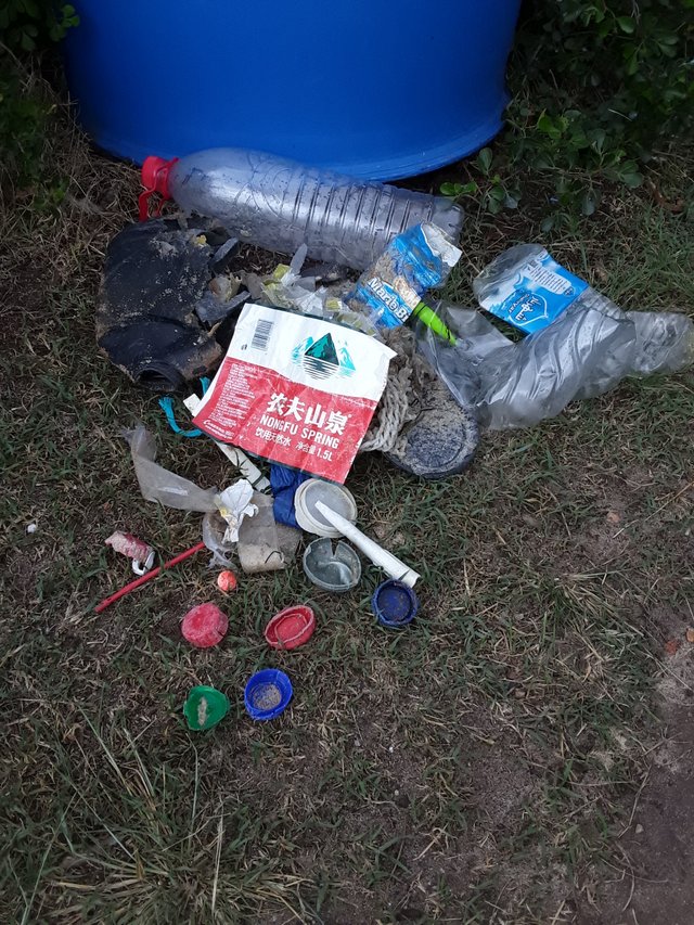 Day two litter collection including Chinese water bottle label.