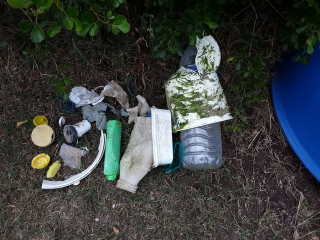 Day 3 litter collection. As you can see it’s not much but it’s still not a good site on the clean beach.