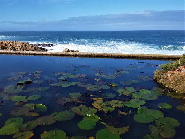 Indian ocean just a splash beyond the wall of the fresh river catchment area - a rare sight to behold