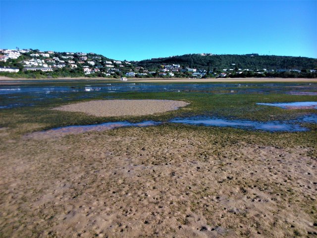 Low tide revealing the lagoon bed with its interesting facets