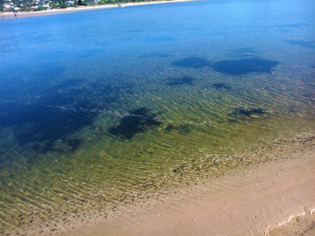 A closer look at the lagoon water