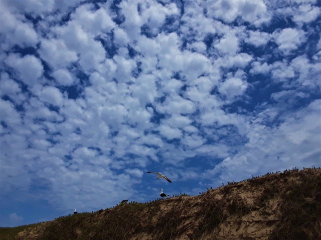 Coming in to land on the sand. I have a business idea to bottle the local sky to sell as a rare commodity globally, if you wish to invest.