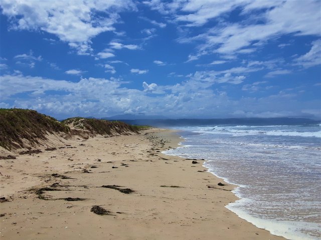 High tide at the nesting dunes, facing east