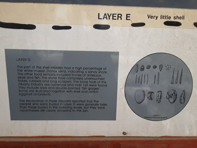 Description of the shell fragment remains at the site