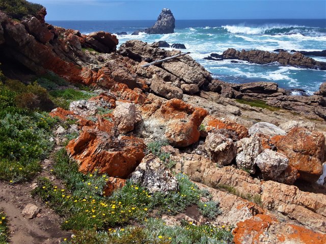 Classic landscape from this region of the south coast of Africa