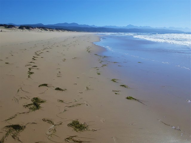 Facing east