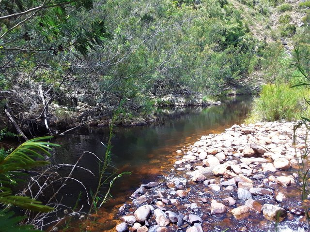 The beauty of nature is uplifting to the mood of the observer at a place like this