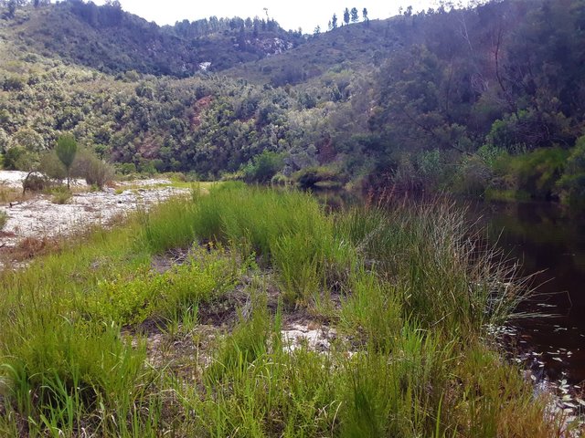 This remote mountain top region is another face of the paradise called the Garden Route