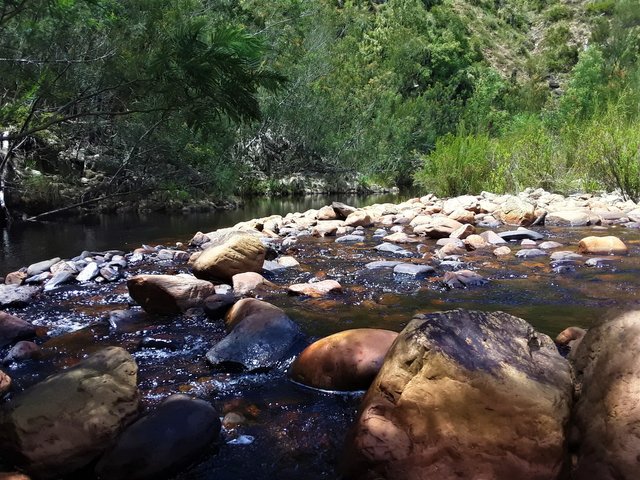 My meditation spot at the river bank
