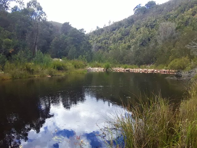 A deeper pool, created by damming up the far end in order to create the track for cars to cross