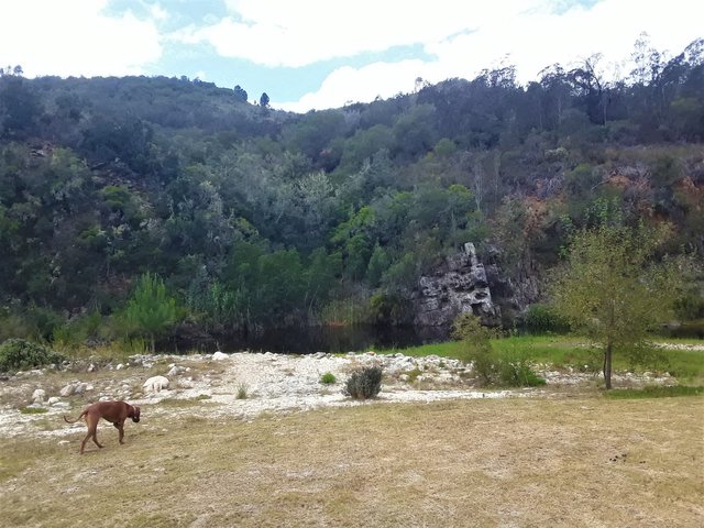 Approaching the Keurbooms river up in the mountains near the source