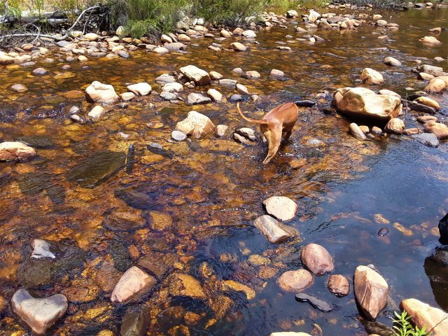 Awesome golden water color to lift the mood