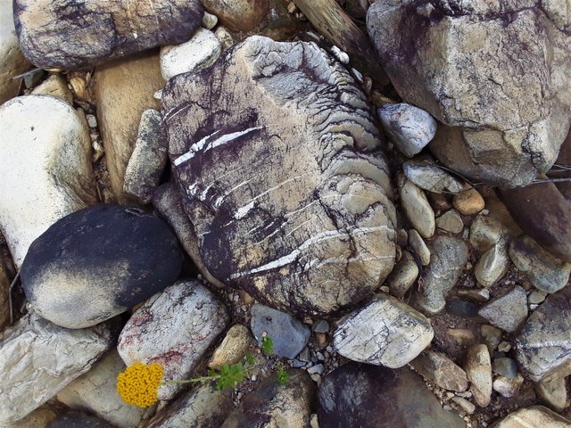 Picturesque and artistic rock patterns scattered all along the river banks