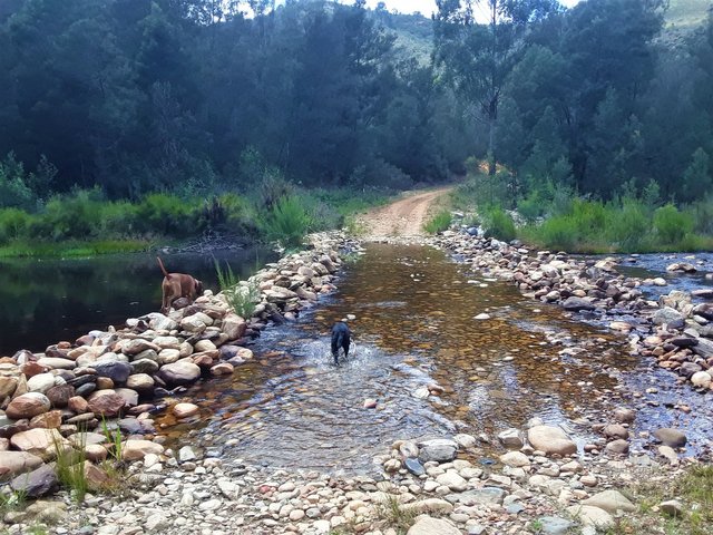 The actual track crossing the river