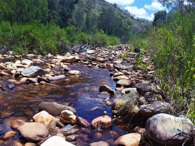 An idyllic place for exploring