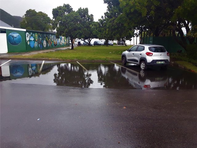 The murals on a rainy day in winter in the town of Knysna