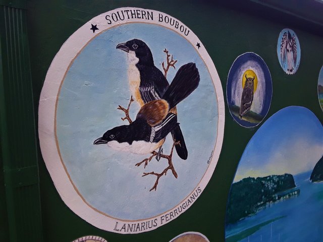 One of the indigenous species of birds on display in this educational and eco-focused art