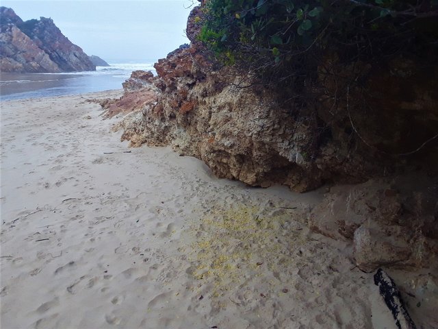 River mouth of the Matjes River as it flows to the Indian ocean