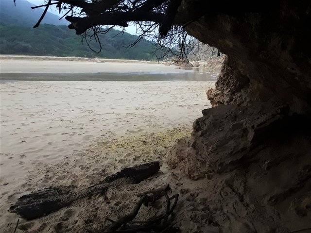 Epic hideaway camping spot on the river bank at the beach