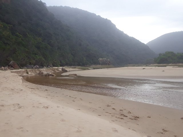 Dense vegetation covering the hill slopes on the river bank