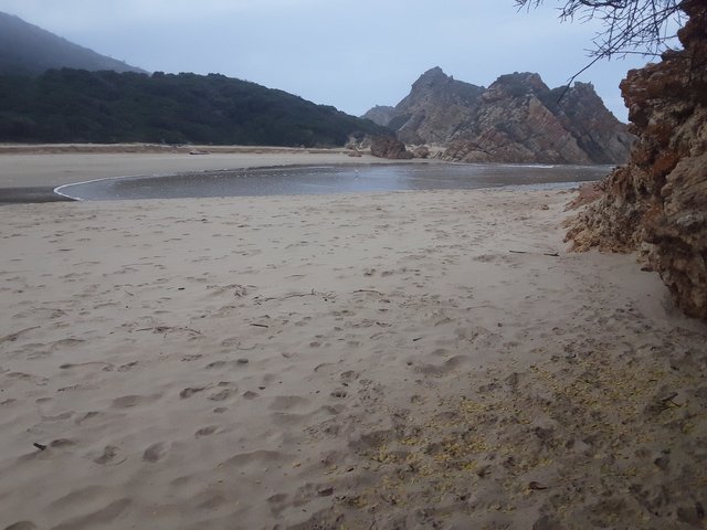 Winter scene on the south coast of Africa with its timeless setting