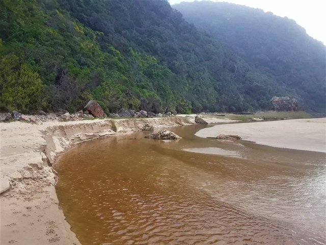 The shallow stream of golden water as it reaches the beach