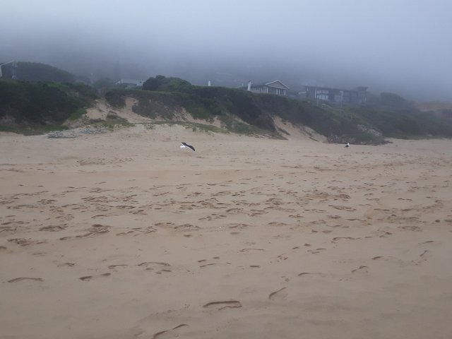 Thick mist hides the hill behind the houses at the beach