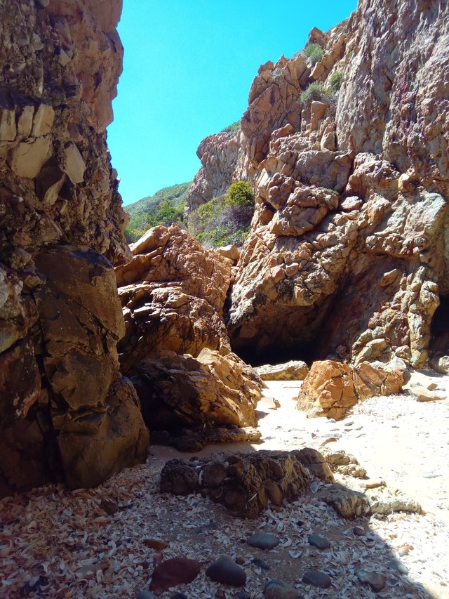 Shells on the sandy floor in this alcove on the peninsula only accessible at low tide