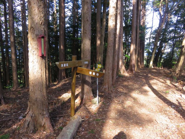 Hiking Around Shizuoka