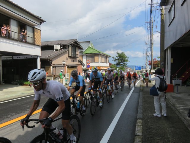 The peloton.