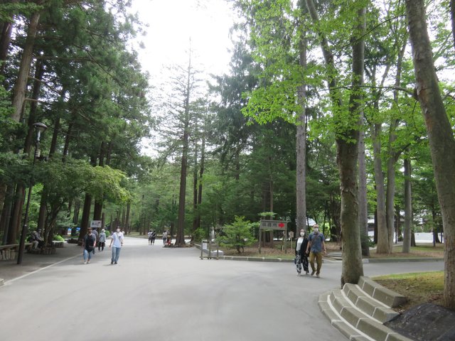 Walking to the Shrine