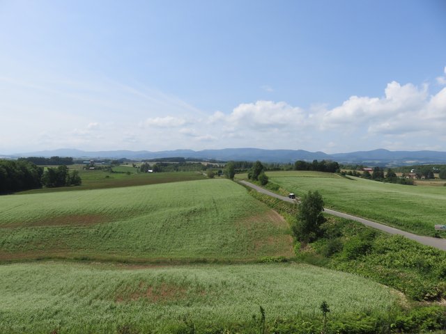 The rolling hills of the English home counties