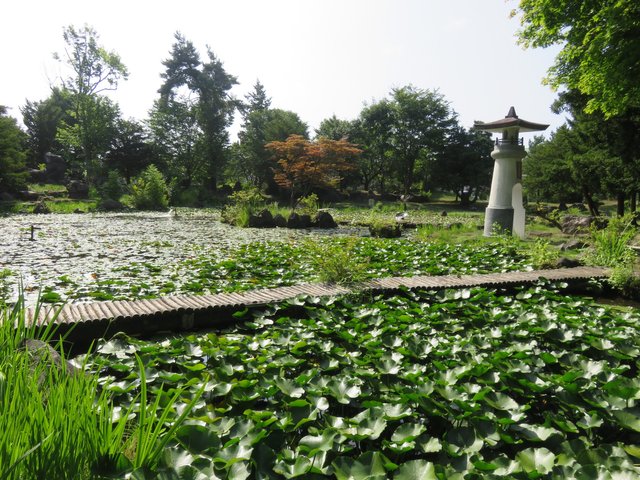 The pond in the shrines garden