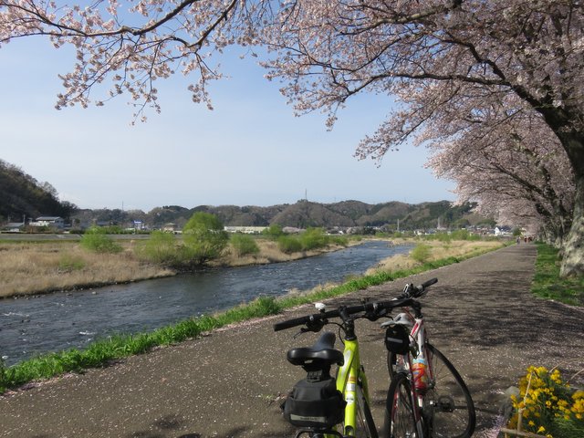 Relaxing at Shuzenji.