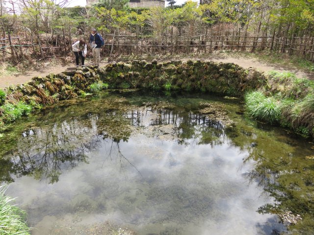 Another pond, this one had spring water bubbling up from the bottom