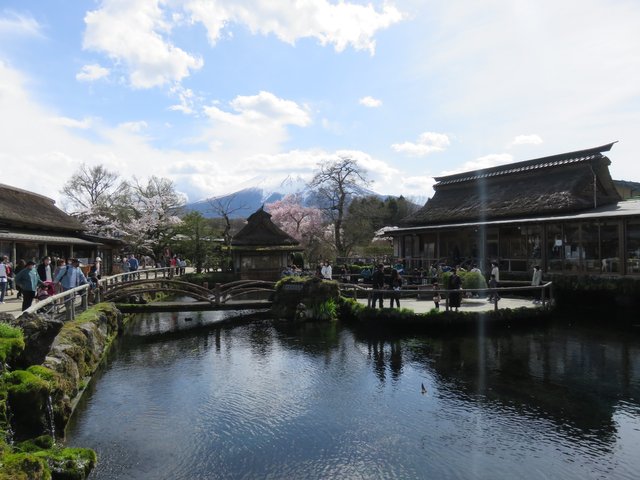 We nearly saw all of Mt. Fuji from the ponds