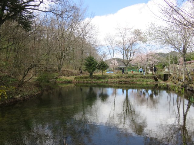 Deguchi pond, about 600 meters from the center of Oshino
