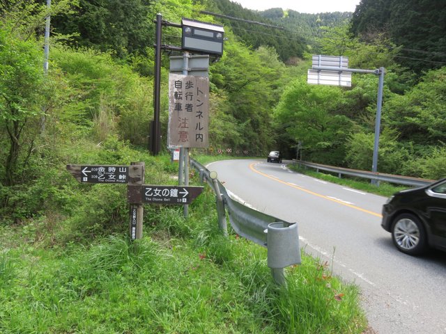 The most popular course is from Sengokuhara in Hakone, but our bus took us to a slightly less used path, which was still pretty busy.
