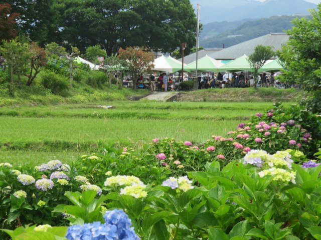 The main festival area across the fields