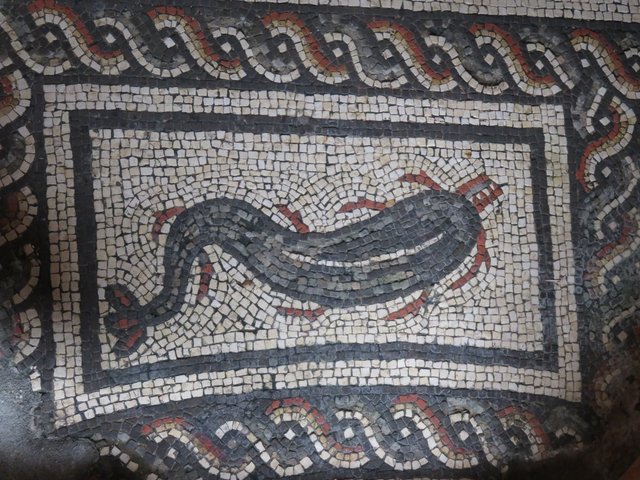 Dolphin mosaic.