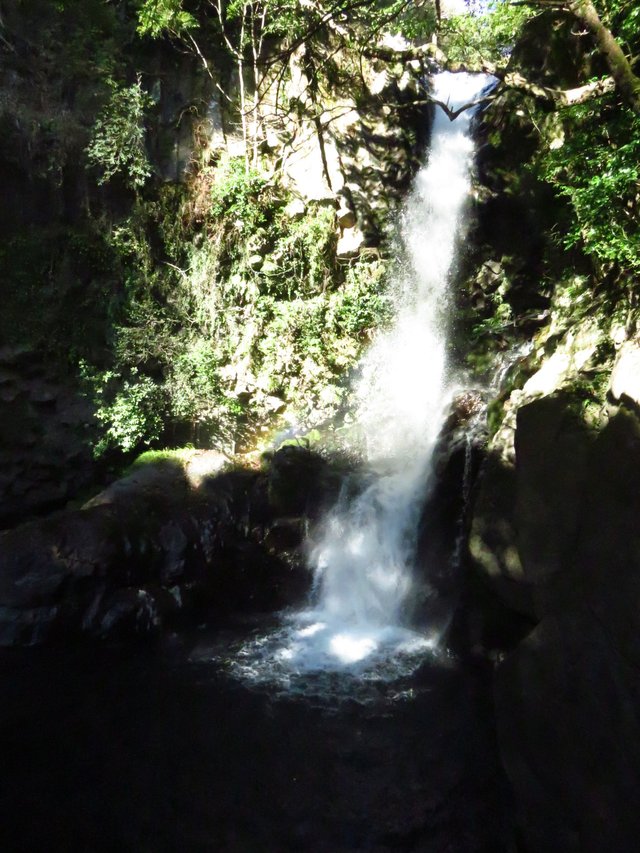 One of the Kawazu Seven Waterfalls.