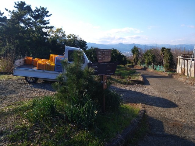 Lots of good signage around and oranges packed and ready to be eaten.