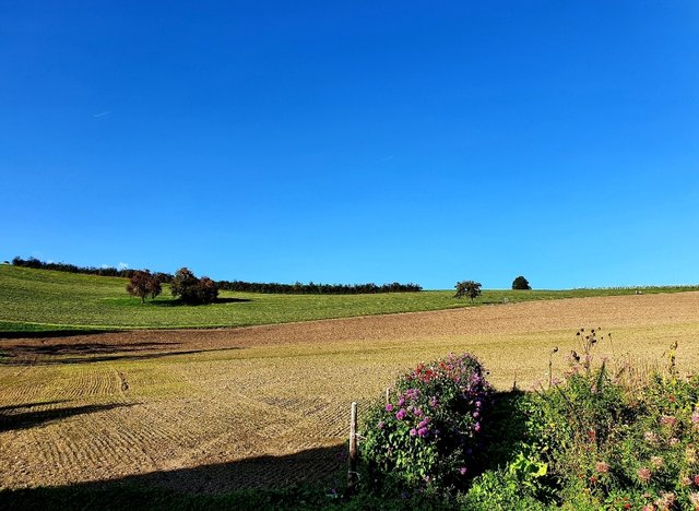 Farmland views. I wonder what kind of crops used to be here a couple of weeks back