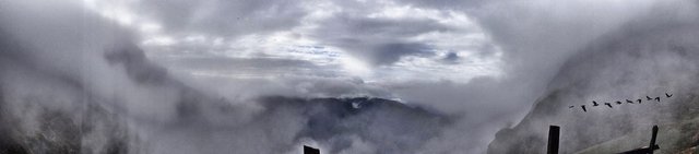 Looking down to a flock of birds. (right)