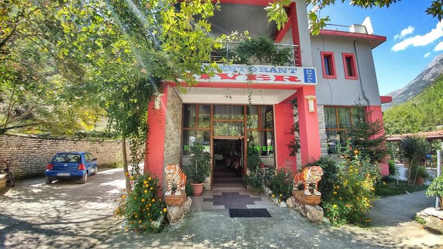 The door to the strange tree restaurant