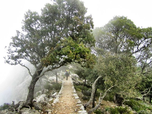 The bridle way of the Tramuntana